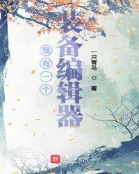 我有一个装备编辑器TXT精校版