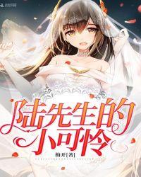 陆先生的小可怜txt全文