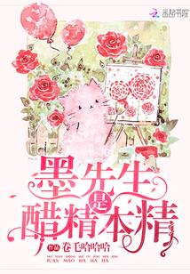 墨先生是醋精本精TXT