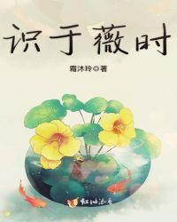 识于微时流金岁月