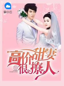 高价甜妻很撩人秦静温乔舜辰最新