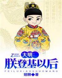 大明朕登基以后txt