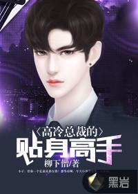 女总裁的贴身高手第二部 电视剧