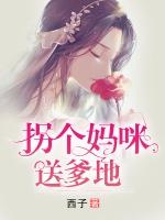 拐个妈咪送爹地作者西子