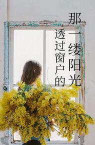 透过窗户的那一缕阳光叫什么