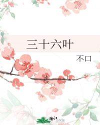 三十六叶一面红旗解孥迷
