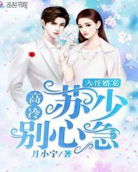 高冷总裁入我心苏晚