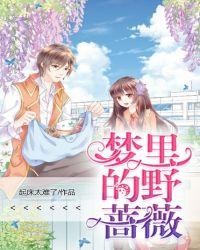 宝可梦剑野蔷薇