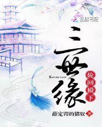 轮回殿主修为