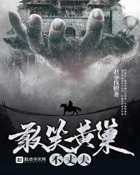 敢笑黄巢不丈夫他日若遂凌云志