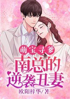 萌宝寻爹南总的逆袭丑妻