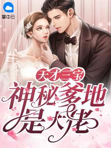 天才三宝神秘爹地是大佬免费阅读无弹窗