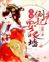 王爷侧妃傻乎乎