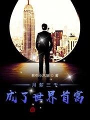 月薪三千成了世界首富叶辰苏凝霜