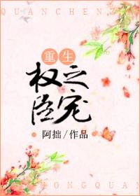 权臣之宠(重生) 晴天娃娃