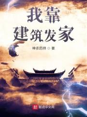 我靠建筑发家txt