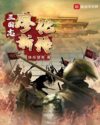 三国志廖化新传起点