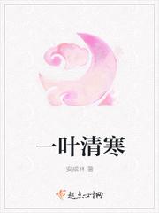 一叶清寒 齐鸿年