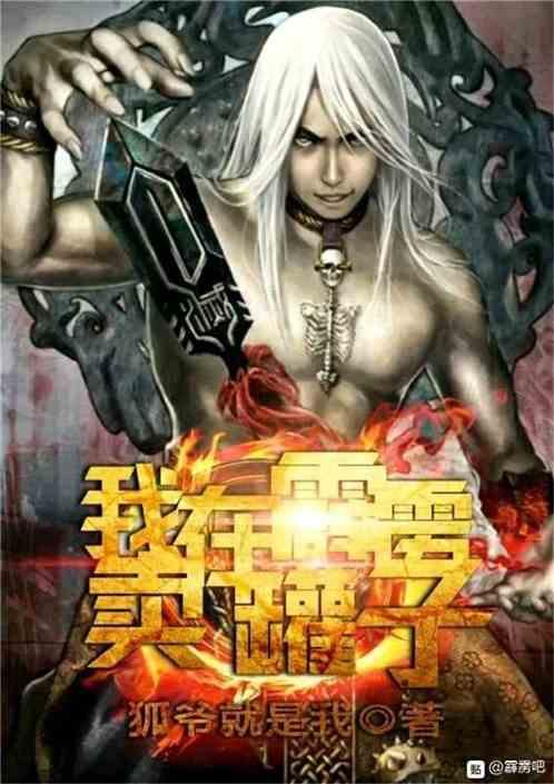 我在霹雳卖罐子txt