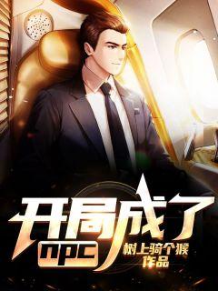 开局成了npc夏阳