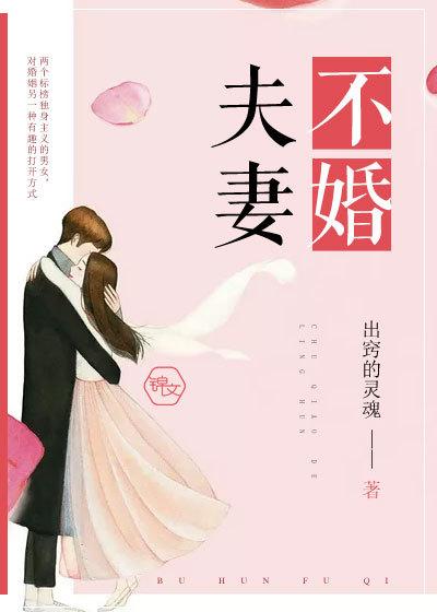 不婚夫妻免费阅读