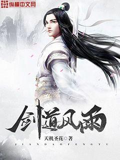 剑道风雨 看不懂