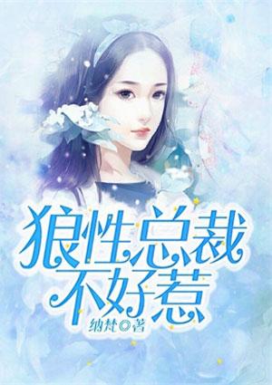 总裁前夫不好惹完整版