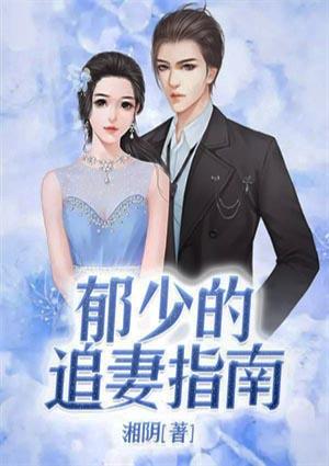 大叔追妻指南TXT