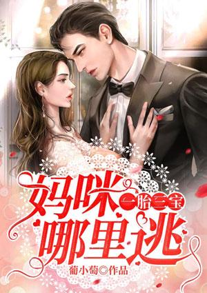 一胎三宝妈咪你别跑全文免费