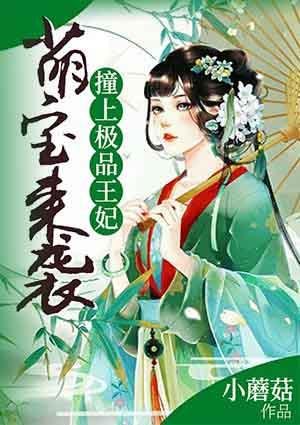 萌宝来袭撞上极品王妃全文免费阅读
