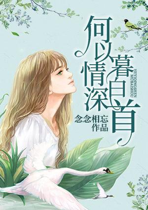何以情深暮白首免费阅读念念不忘