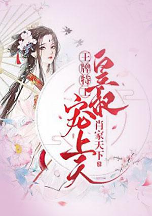 王牌特工皇叔宠上天 肖家天下