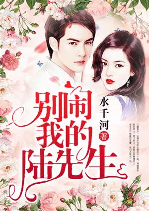 我的陆先生慕桐陆