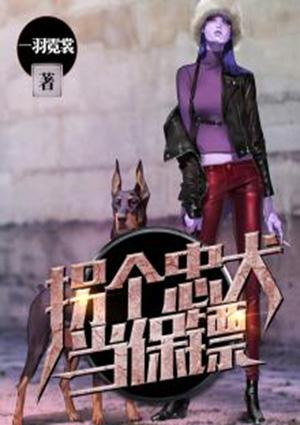 韩剧忠犬保镖免费观看