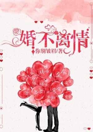 婚不离情前夫