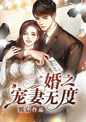 二婚之宠妻无度1340页