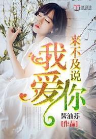 来不及说我爱你的主题曲叫什么名字