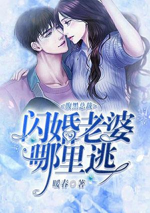 腹黑总裁的闪婚甜妻十二月