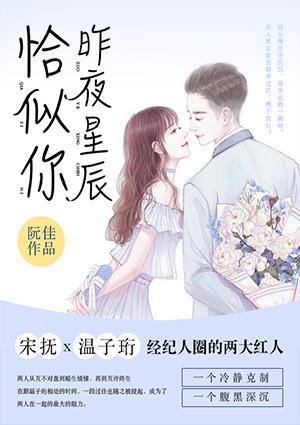 昨夜星辰恰似你江衍TXT