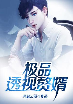极品透视赘婿林诗雅