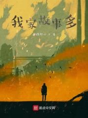 我家的故事作文800字