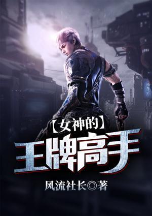 女神总裁的王牌高手