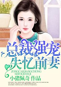 总裁强宠失忆前妻失忆前发生什么