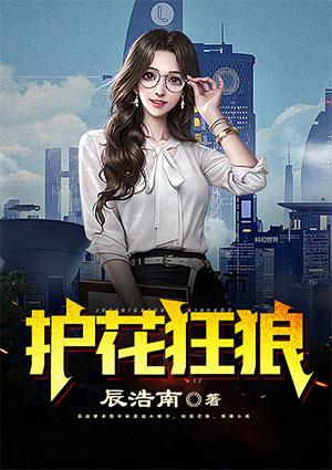 都市护花小保安短剧在线观看