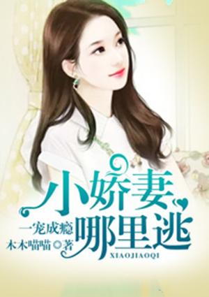 一宠成瘾天价娇妻难搞定