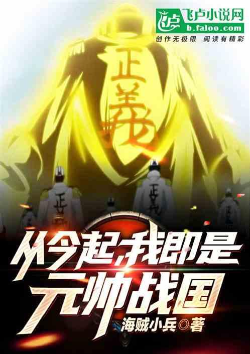 我即是元帅