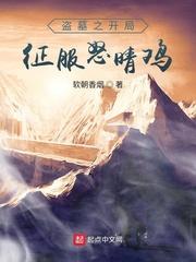 盗墓之开局征服怒晴鸡TXT