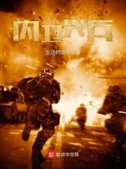内卫尖兵txt全集下书网