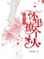 在顾先生怀里撩个火txt