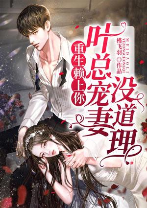 重生赖上前世隐婚老公